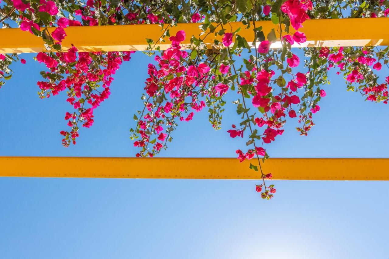 Estia Tinos Villa Dış mekan fotoğraf